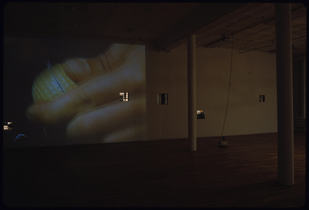 An image of a hand holding a yellow golf ball projected onto the wall of a dimly-lit gallery space. Several square holes have been removed from several spots on the gallery wall, through which a space on the other side of the wall is visible.