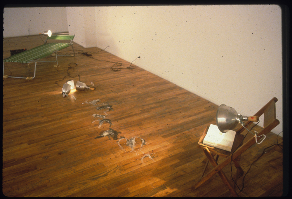 An installation consisting of a series of readymade objects displayed on a wooden gallery floor. To the right, an open book rests on a wooden folding chair. One metal clamp light is attached to the chair, while a second light is attached to a reclining, green lounge chair on the left of the gallery space. Two additional clamp lights rest on the floor between the chairs. An ashy material is scattered on the ground between the chairs.