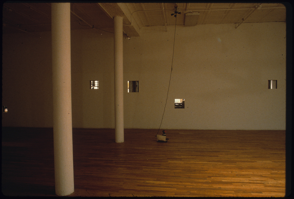 A small statue of a bird sits on the floor of a dimly-lit gallery space. A long black wire runs from the sculpture to the ceiling. Several square holes have been removed from several spots on the gallery wall behind the sculpture, through which a space on the other side of the wall is visible.