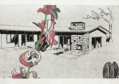 A print illustration of a suburban house. In the foreground, a pink flower cuts across the right frame from top to bottom.