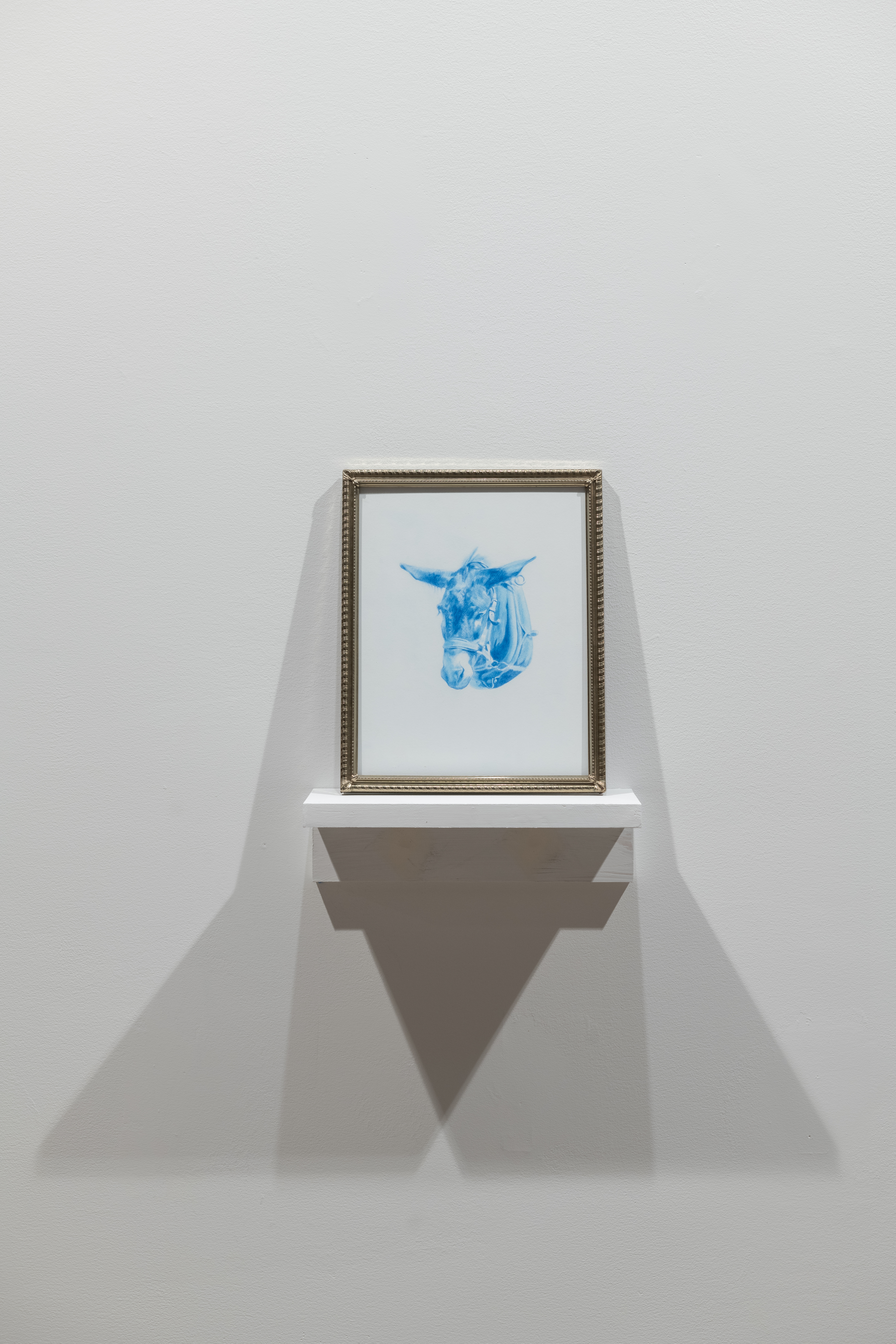 A small framed drawing of a donkey head in blue, resting on a white shelf against the wall of a gallery space.