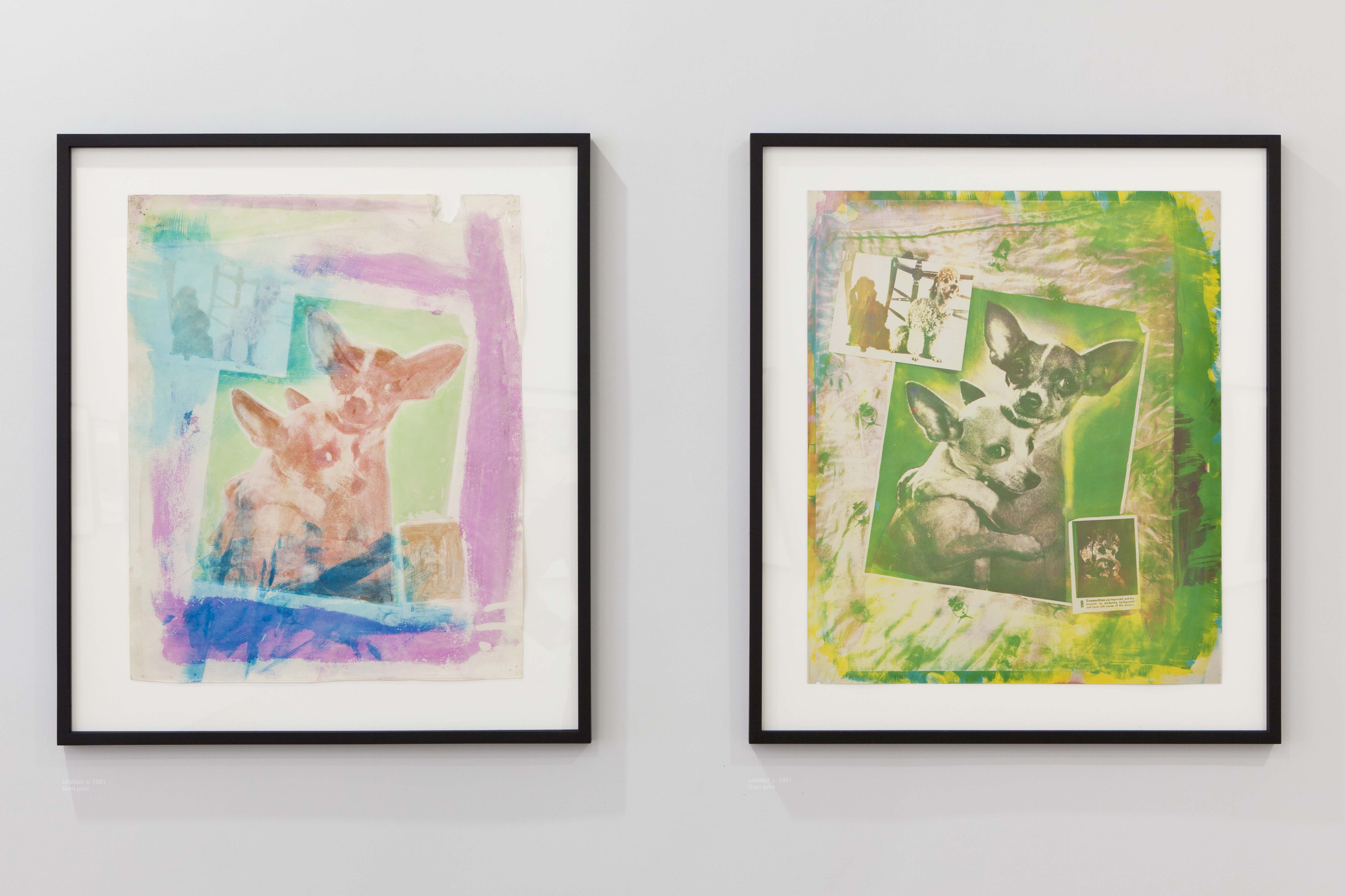 Two framed collaged images on a white wall. Both display a central image of two dogs.