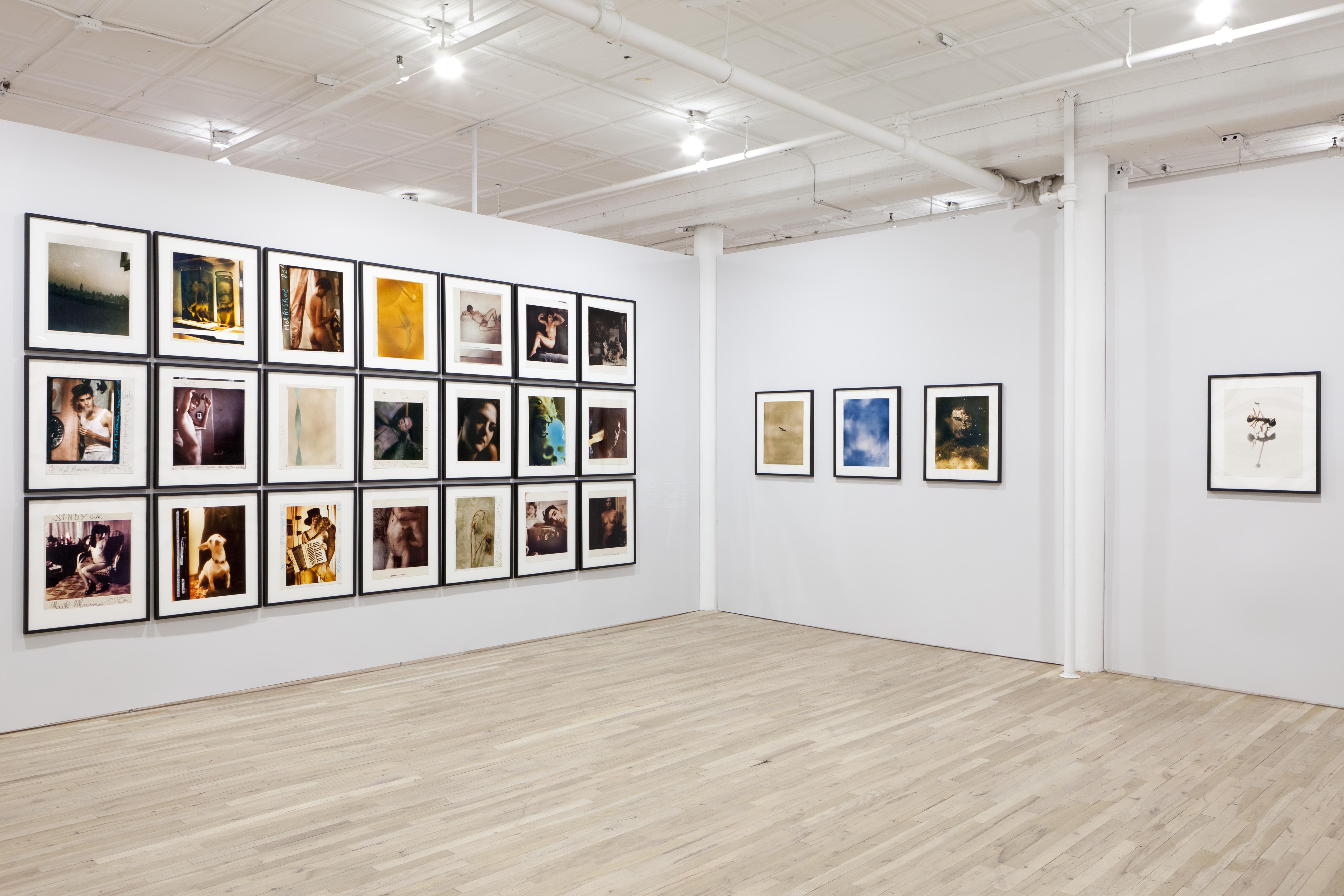 A white wall displaying twenty-one framed photograms arranged in a rectangle creates a corner with a second white wall displaying four framed photograms in a horizontal line.