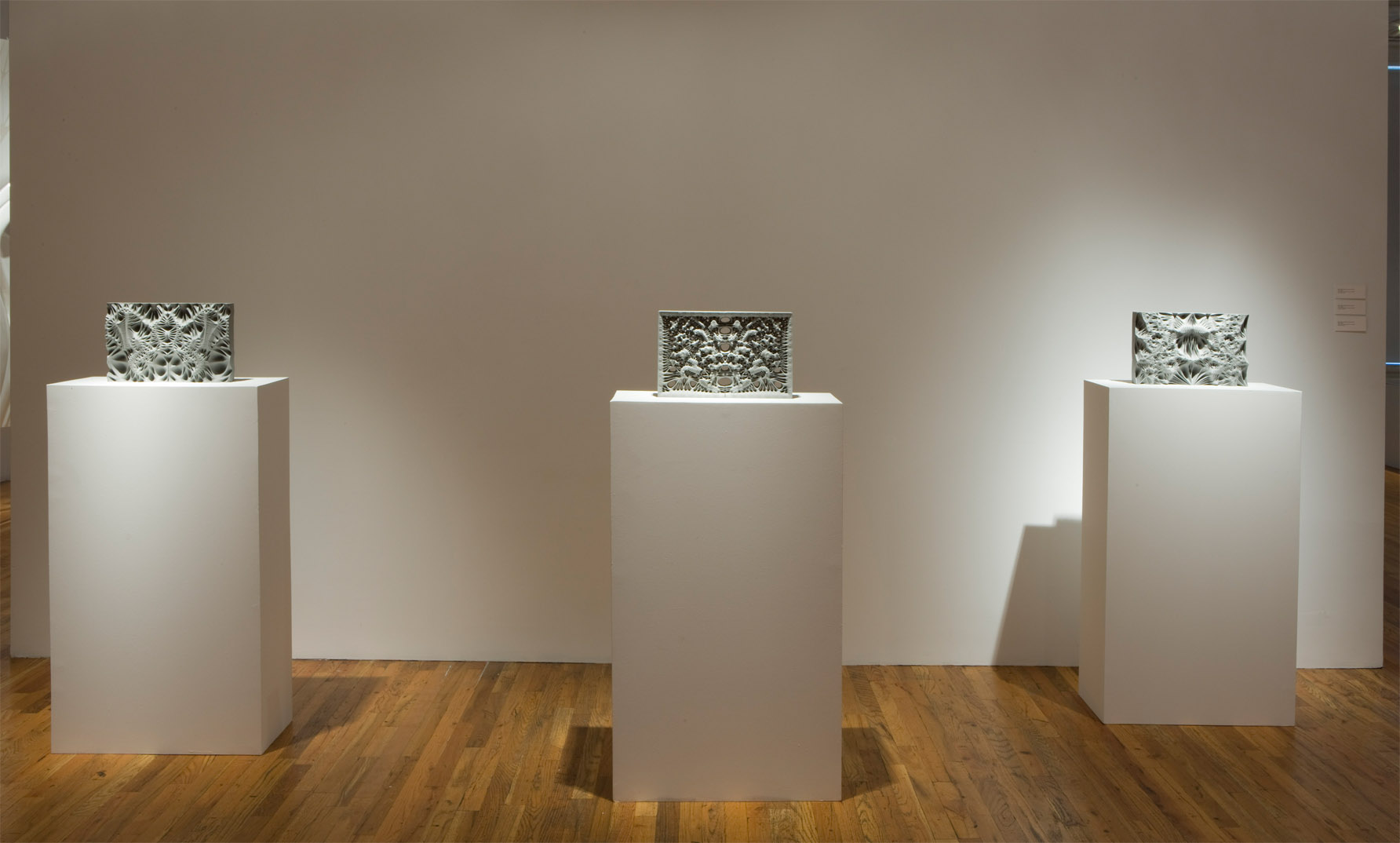 Three gray objects rest on separate rectangular, white plinths in a gallery space with wooden flooring. Each of the objects is rectangular and has a 3D, biomorphic form.
