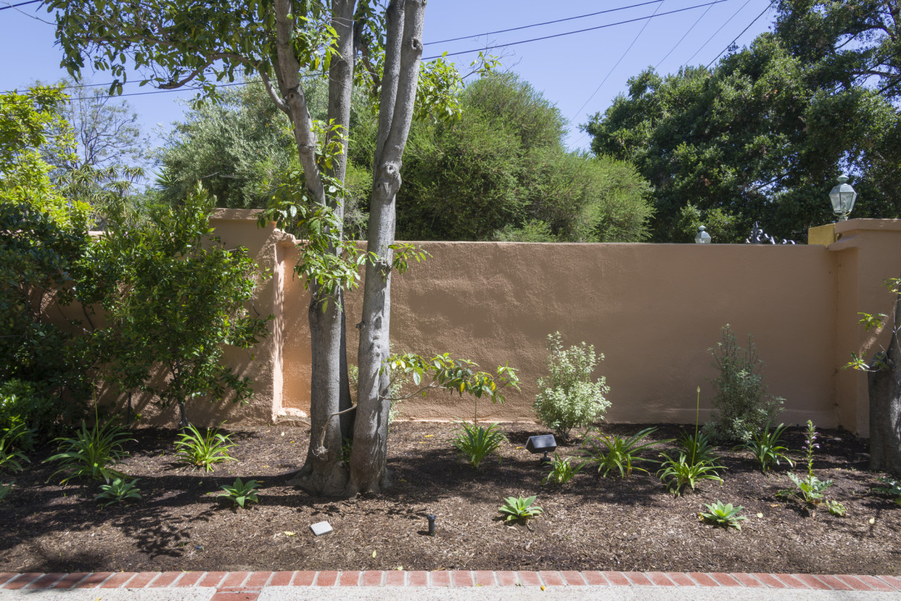 A photograph of a pale pink stucco wall that separates two properties. Green trees and shrubbery line the side of the wall that is pictured. Additional trees on the neighbor's side are visible, in partial view.