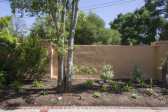A photograph of a pale pink stucco wall that separates two properties. Green trees and shrubbery line the side of the wall that is pictured. Additional trees on the neighbor's side are visible, in partial view.