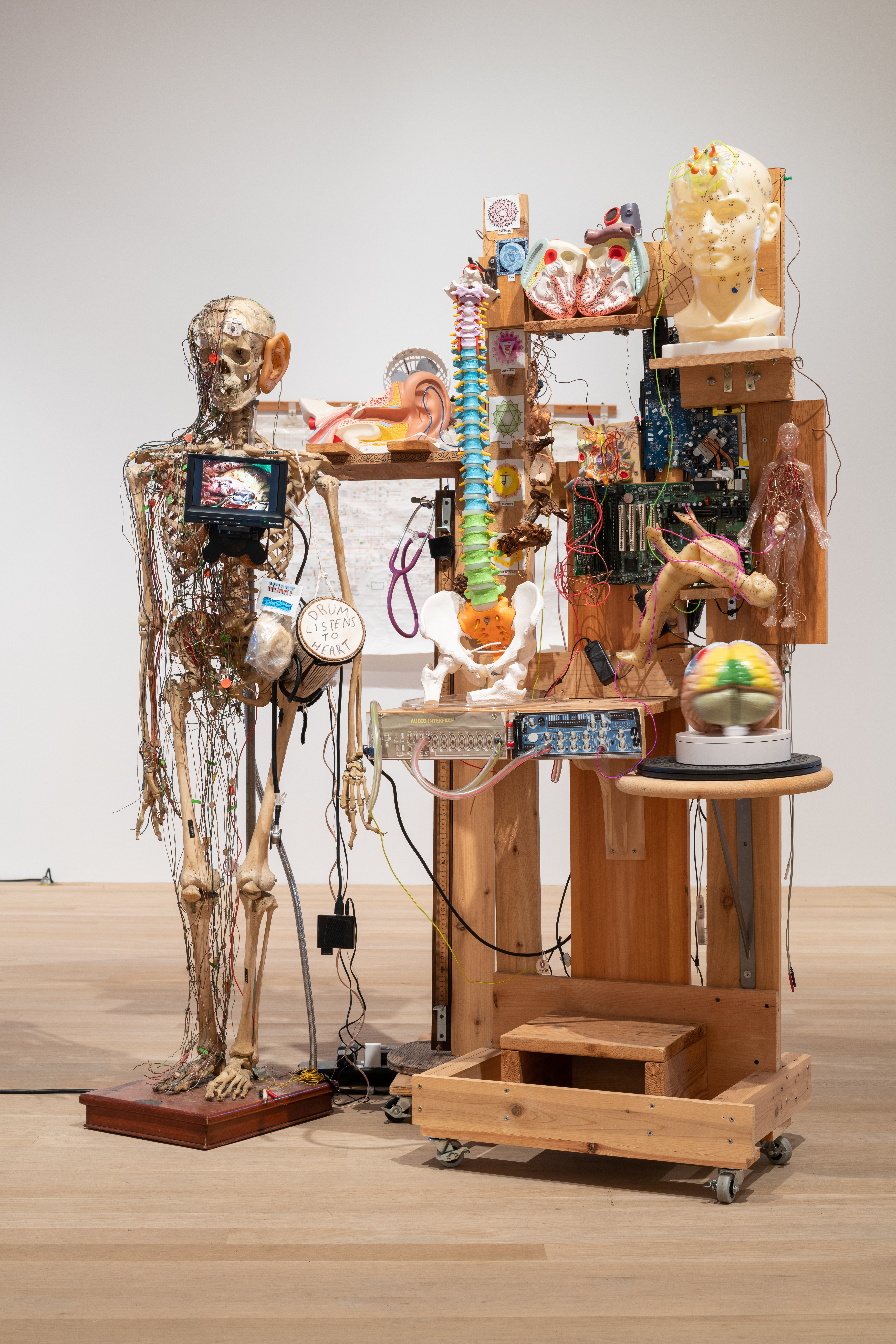 A color photograph of a sculpture composed of a skeleton, monitors, several wires, and anatomical models of a human body, brain, and spine.