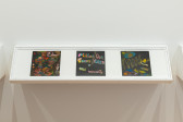 A color photograph of three handpainted LPs in a wall mounted vitrine.
