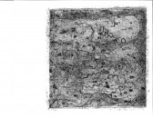 An abstract painting littered with dots, black shapes and line forms.