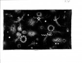 A number of abstract lines and shapes appear in a star-like nature with a black background.