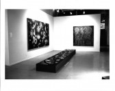 A long rectangular sculptue lies on the floor in front of paintings hanging on adjacent walls in a gallery setting.