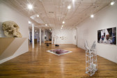 Several photographs and sculptures in a large gallery space with wooden floors and white columns. To the left of the space is a white sculpture forming a rig-like structure, with two wing-like appendages at its top. A large animal skull rests on a triangular support mounted to the gallery wall on the left. Glass panes with red liquid spread across them rest on the gallery floor in the image's center.