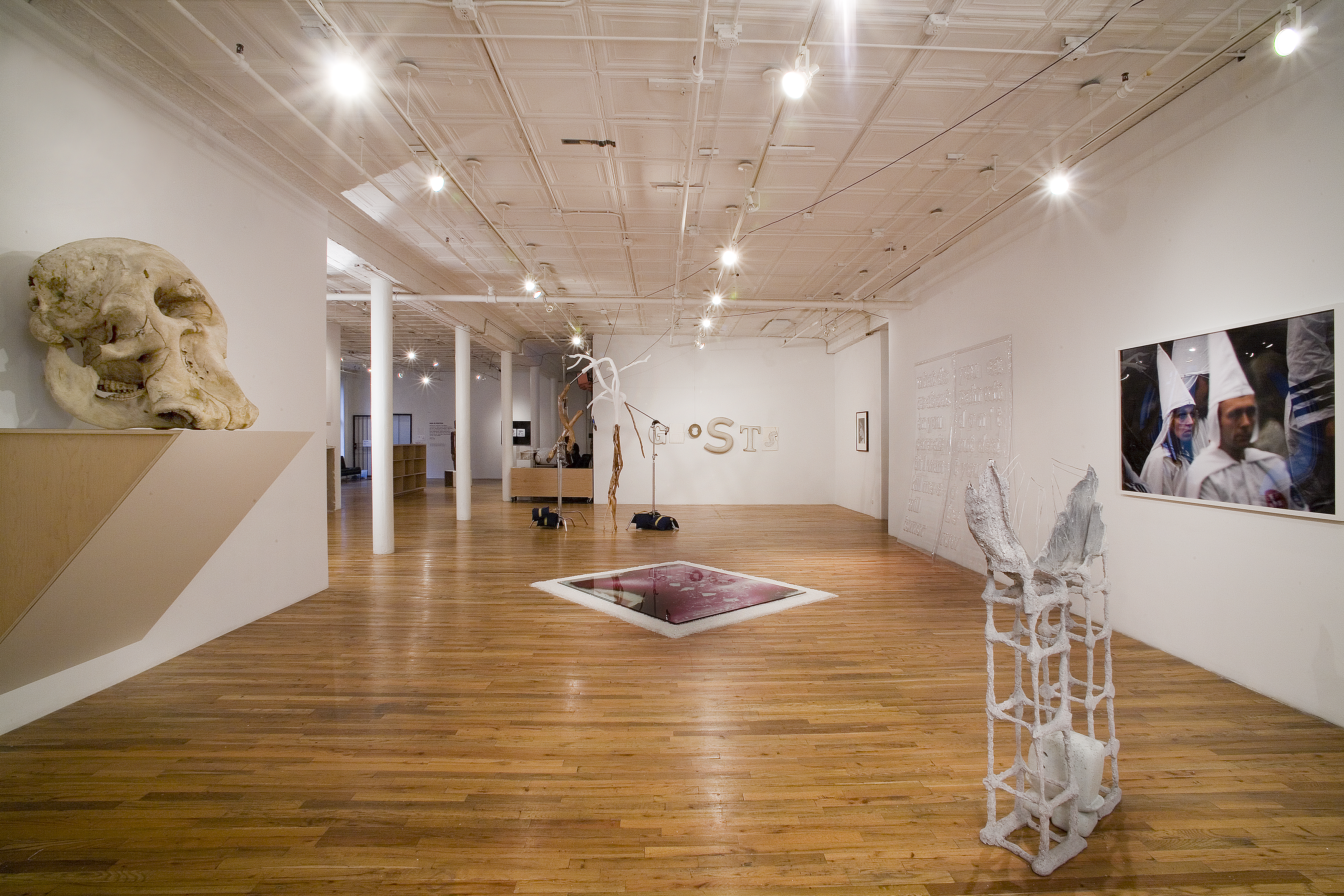 Several photographs and sculptures in a large gallery space with wooden floors and white columns. To the left of the space is a white sculpture forming a rig-like structure, with two wing-like appendages at its top. A large animal skull rests on a triangular support mounted to the gallery wall on the left. Glass panes with red liquid spread across them rest on the gallery floor in the image's center.