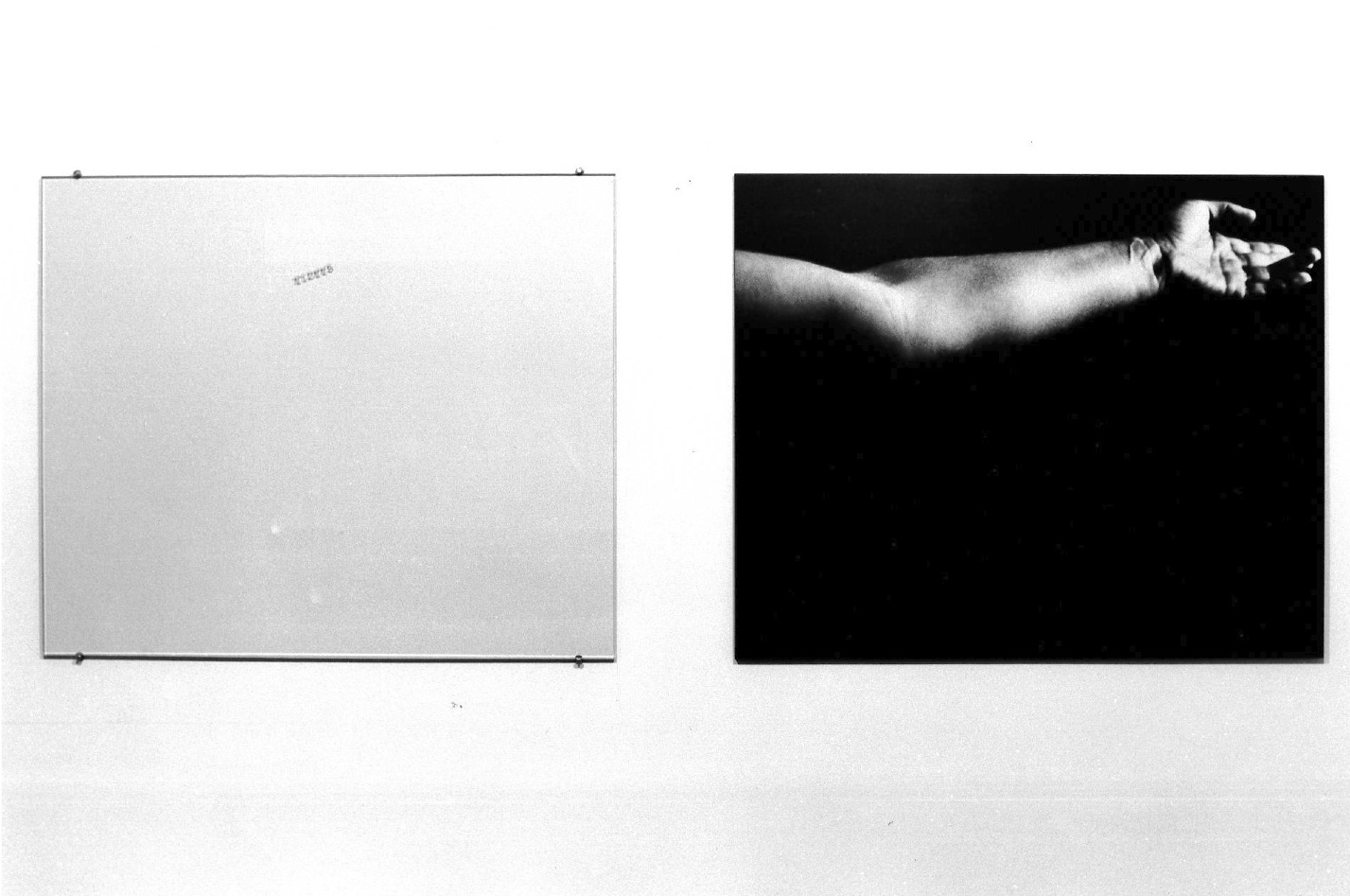 Two rectangular works are hung next to each other on a wall.  The left is solid grey, the right is a photograph of an outstretched forearm against a black background.