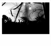 A number of dark paper-thin objects are visible in the foreground and a netted covering with small pieces of string dispersed around it with light emanating from behind can be seen in the upper section of the image.