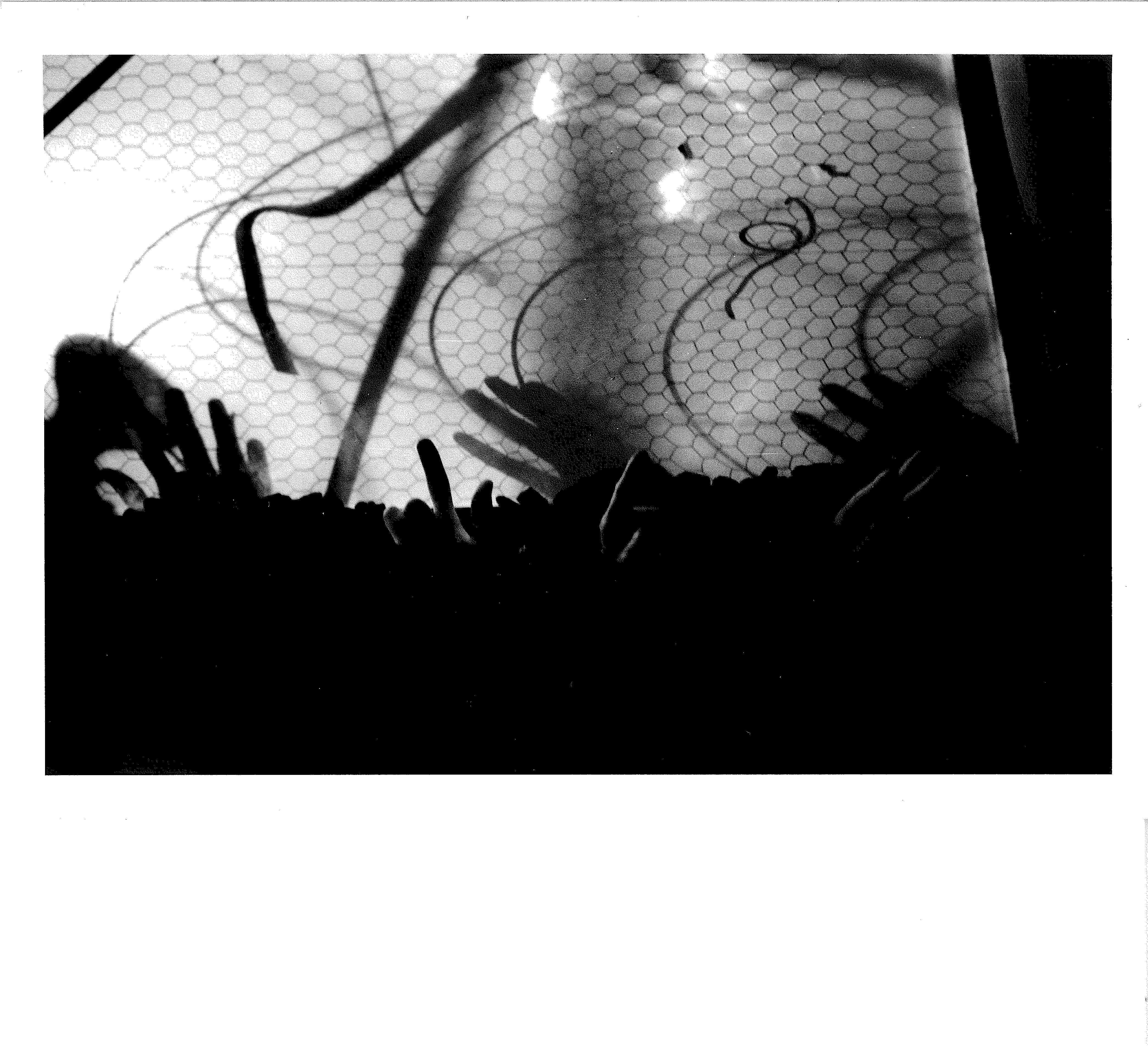 A number of dark paper-thin objects are visible in the foreground and a netted covering with small pieces of string dispersed around it with light emanating from behind can be seen in the upper section of the image.