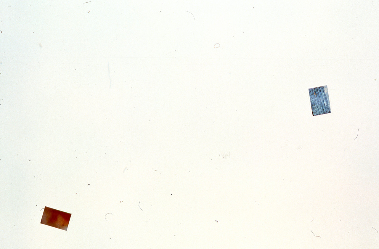 Two photographs mounted on a white gallery wall.