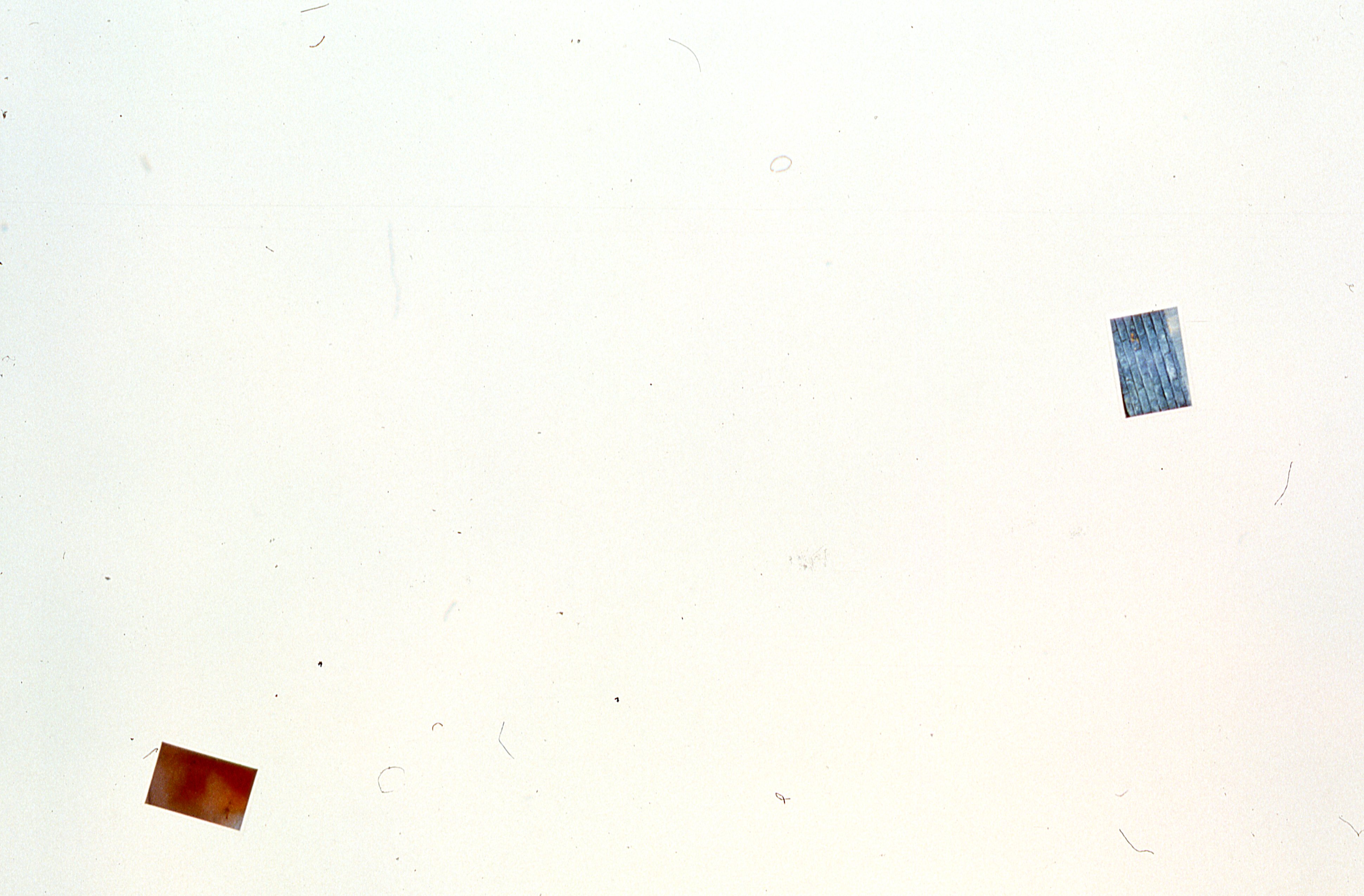 Two photographs mounted on a white gallery wall.