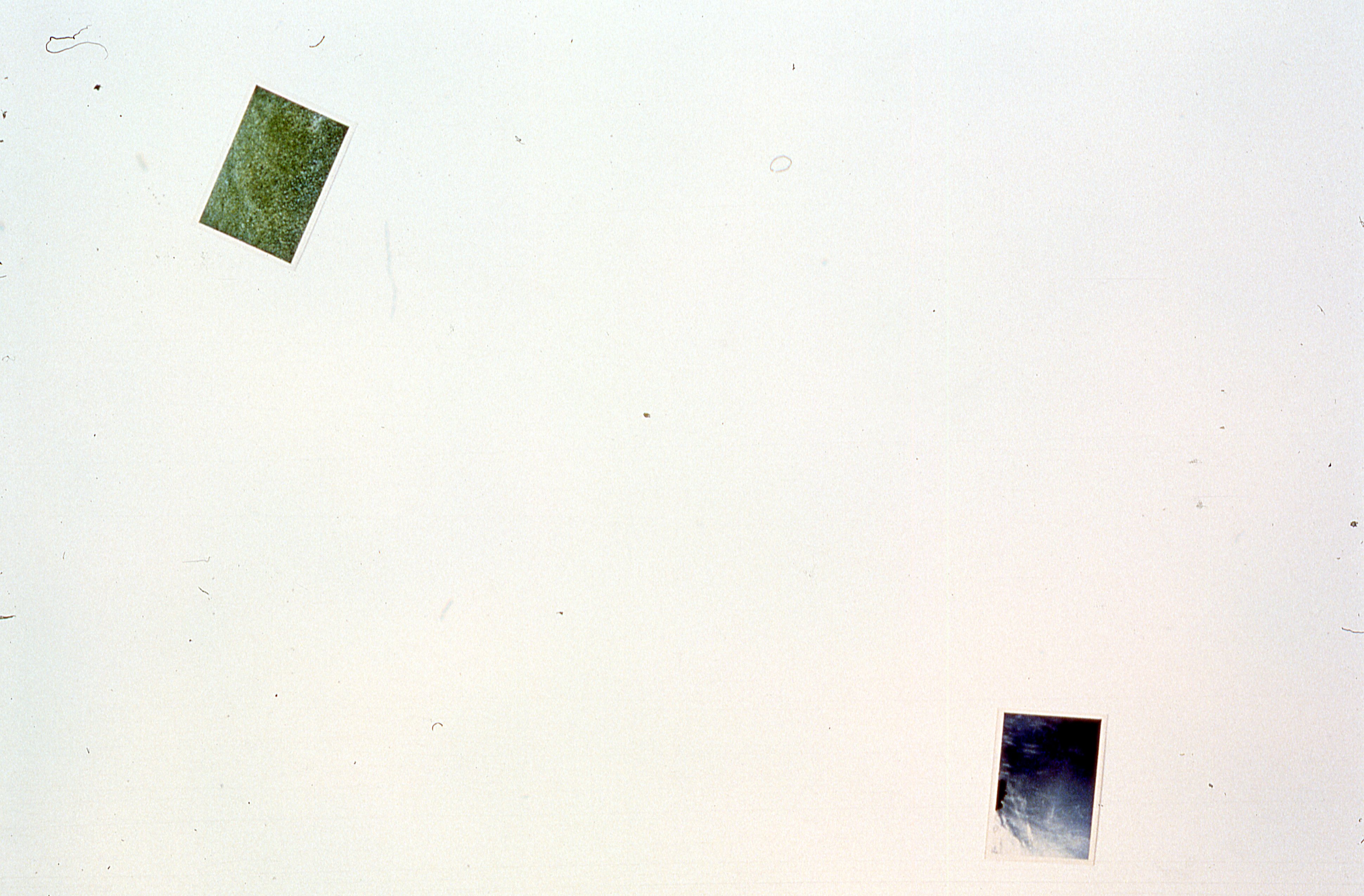 Two photographs are mounted on a white gallery wall.