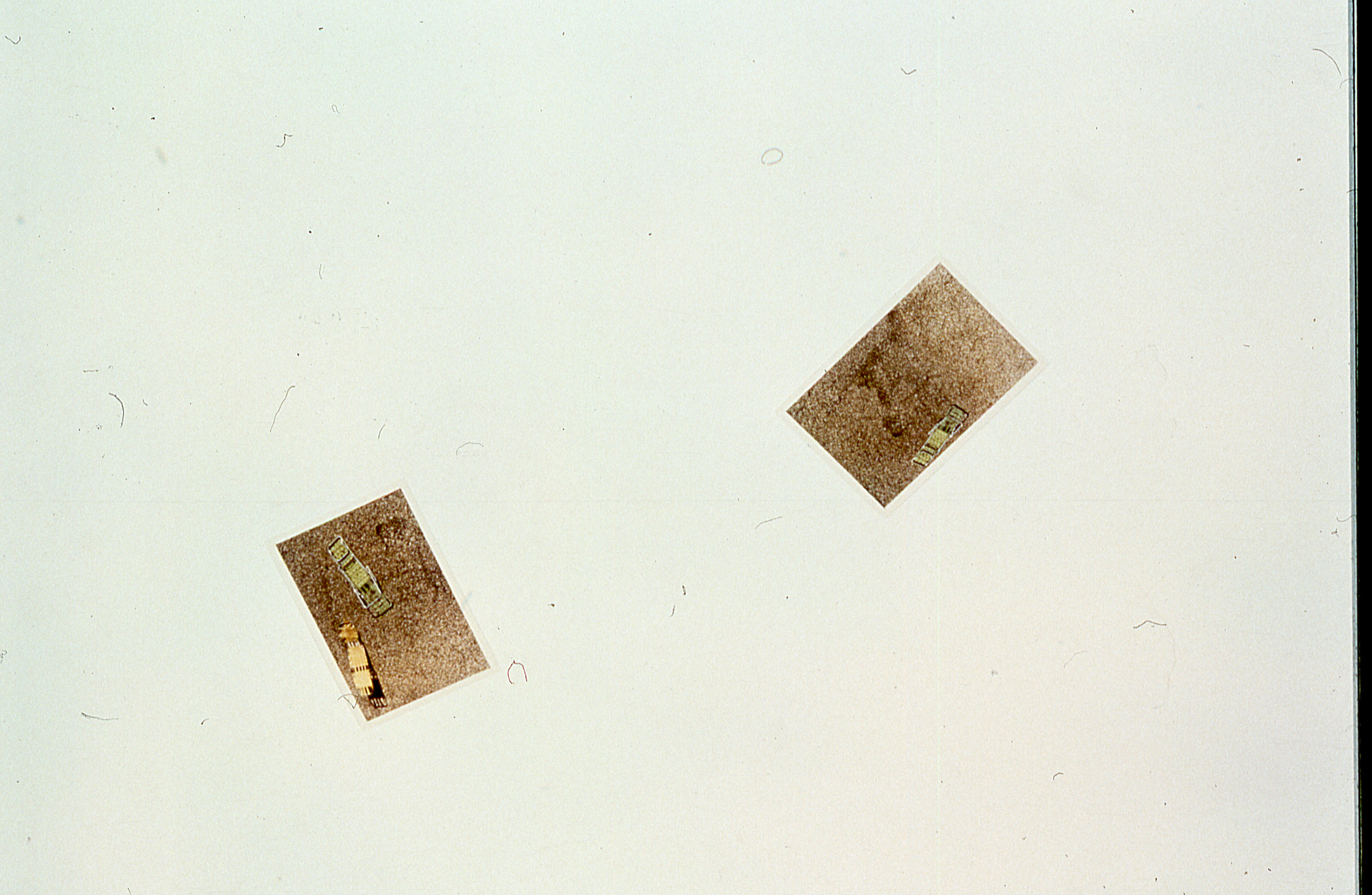 Two photographs are mounted on a white gallery wall.