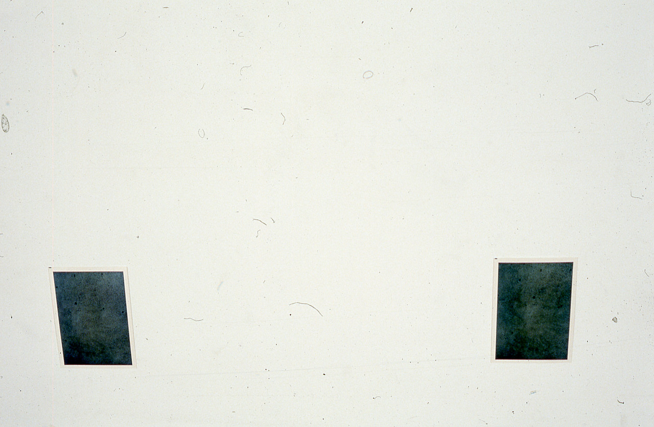Two photographs are mounted on a white gallery wall.