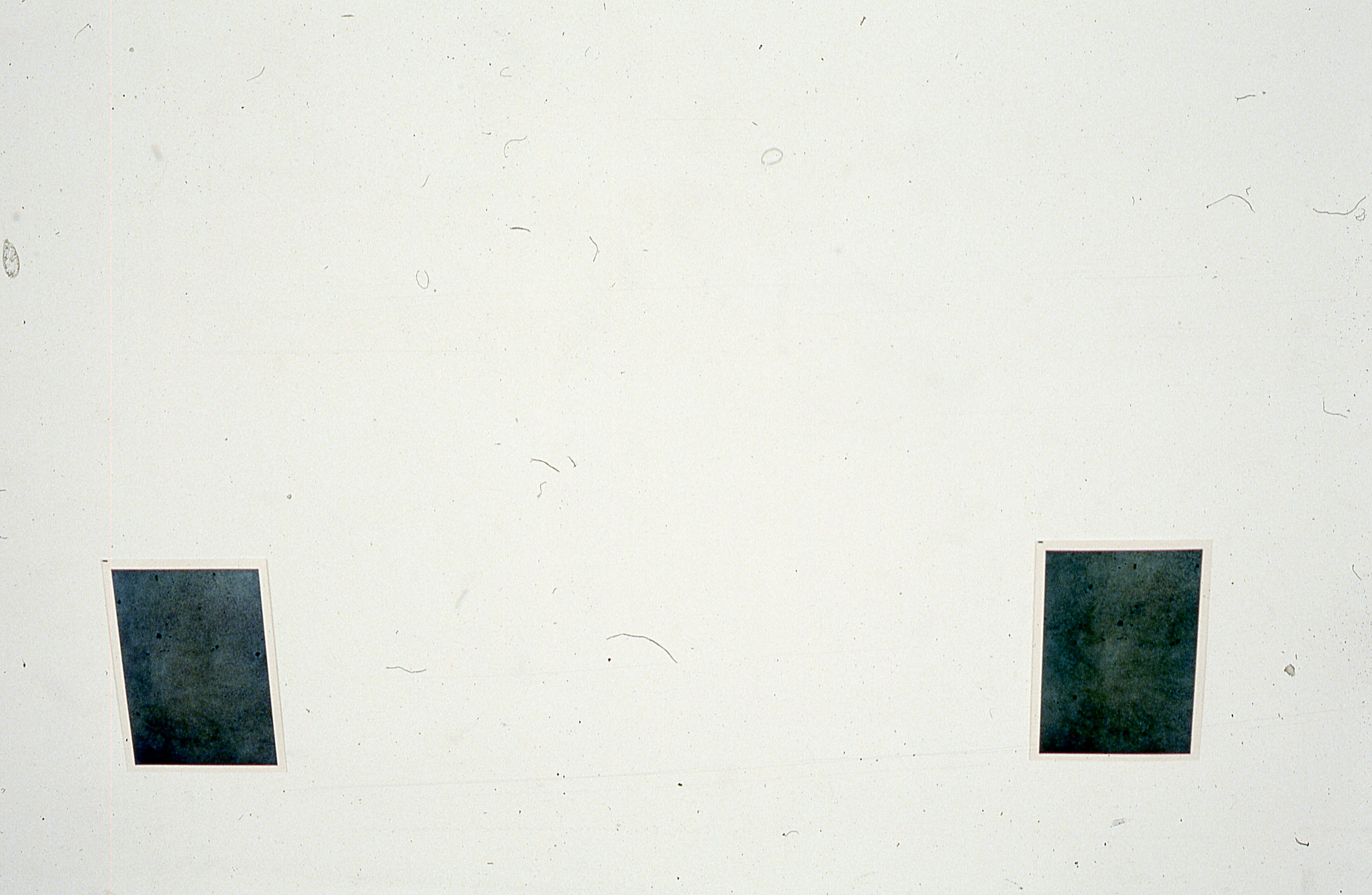 Two photographs are mounted on a white gallery wall.