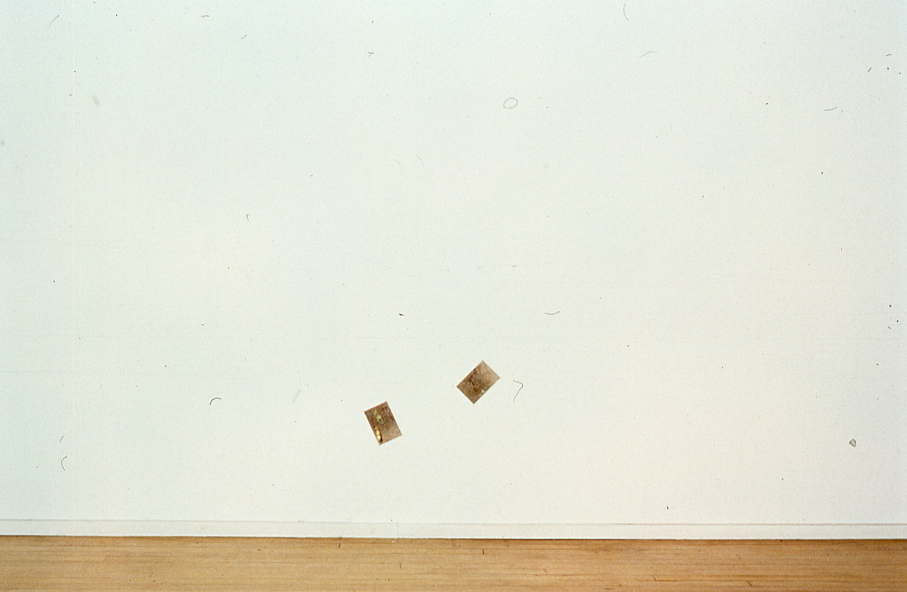 Two photographs are mounted on a white gallery wall.