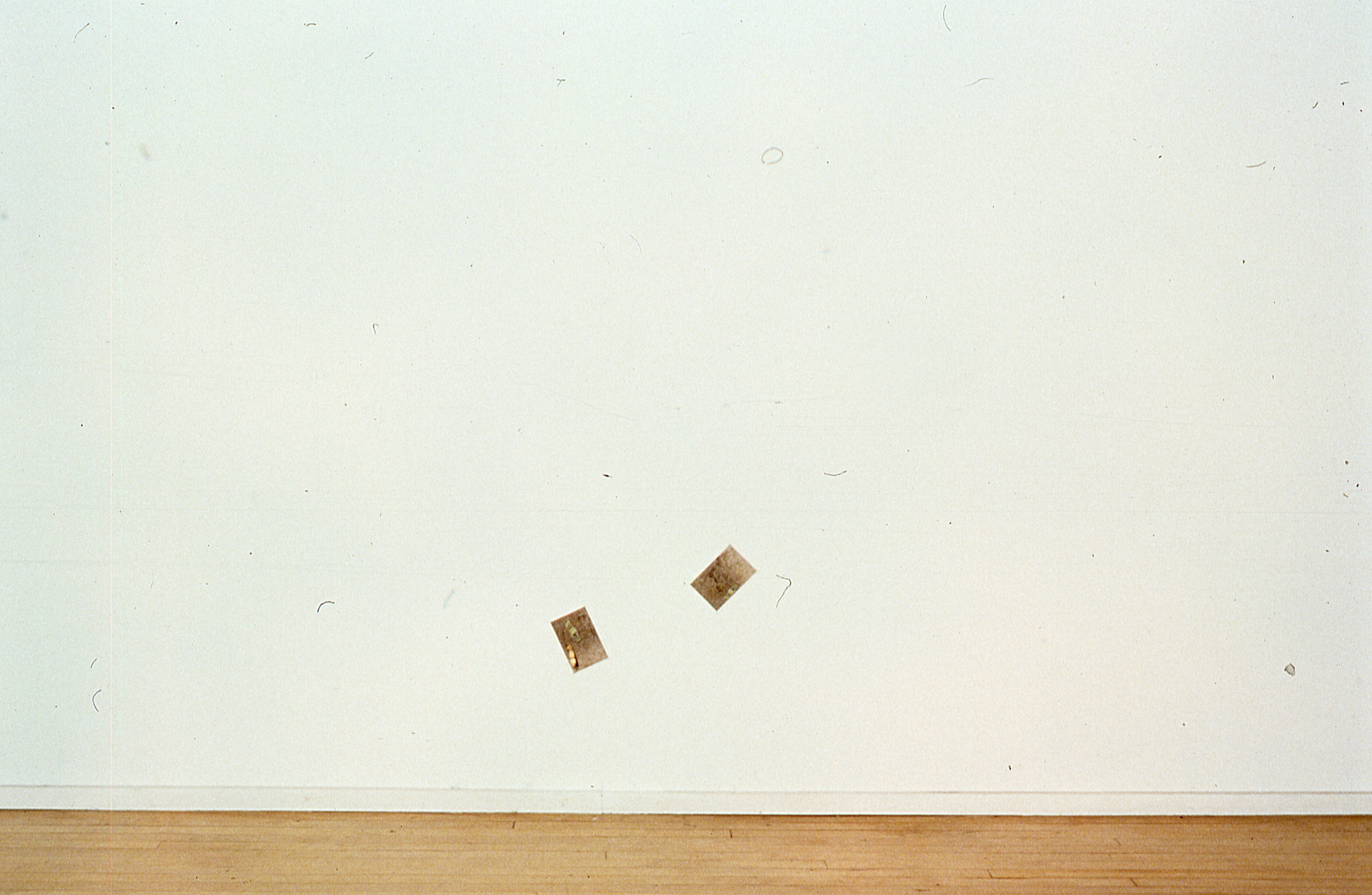 Two photographs are mounted on a white gallery wall.