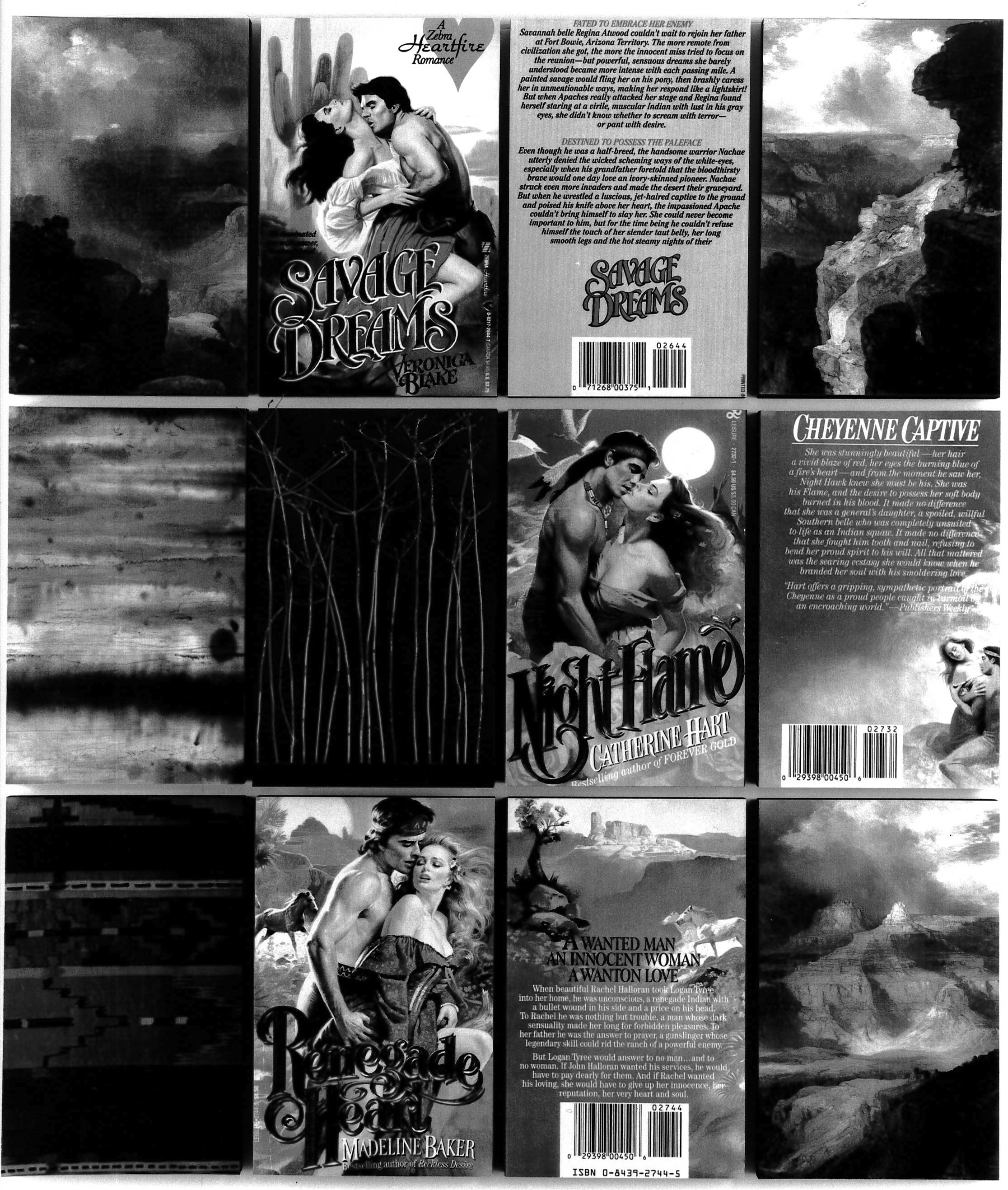 Black and white image of several popular romance novel covers arranged in a grid formation. Dispersed amongst the covers are photos of desert canyons and other abstract, inky images.