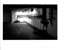 Dirt can be seeng lining the walls on the floor and also in the clear cases above them. There is stark lighting of the walls in this gallery setting.