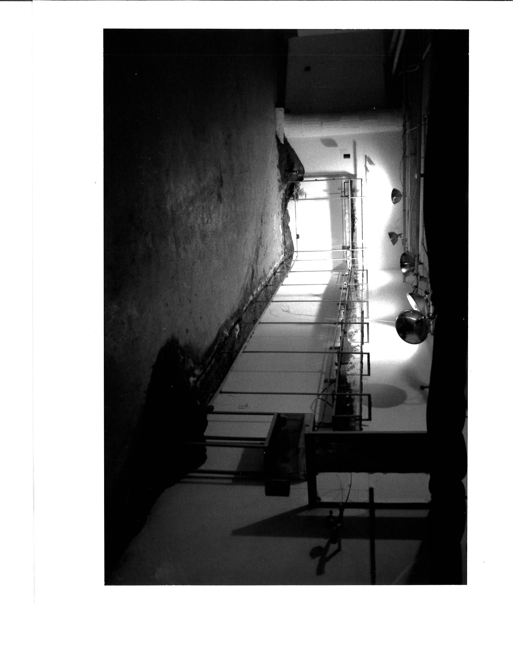 Dirt can be seeng lining the walls on the floor and also in the clear cases above them. There is stark lighting of the walls in this gallery setting.