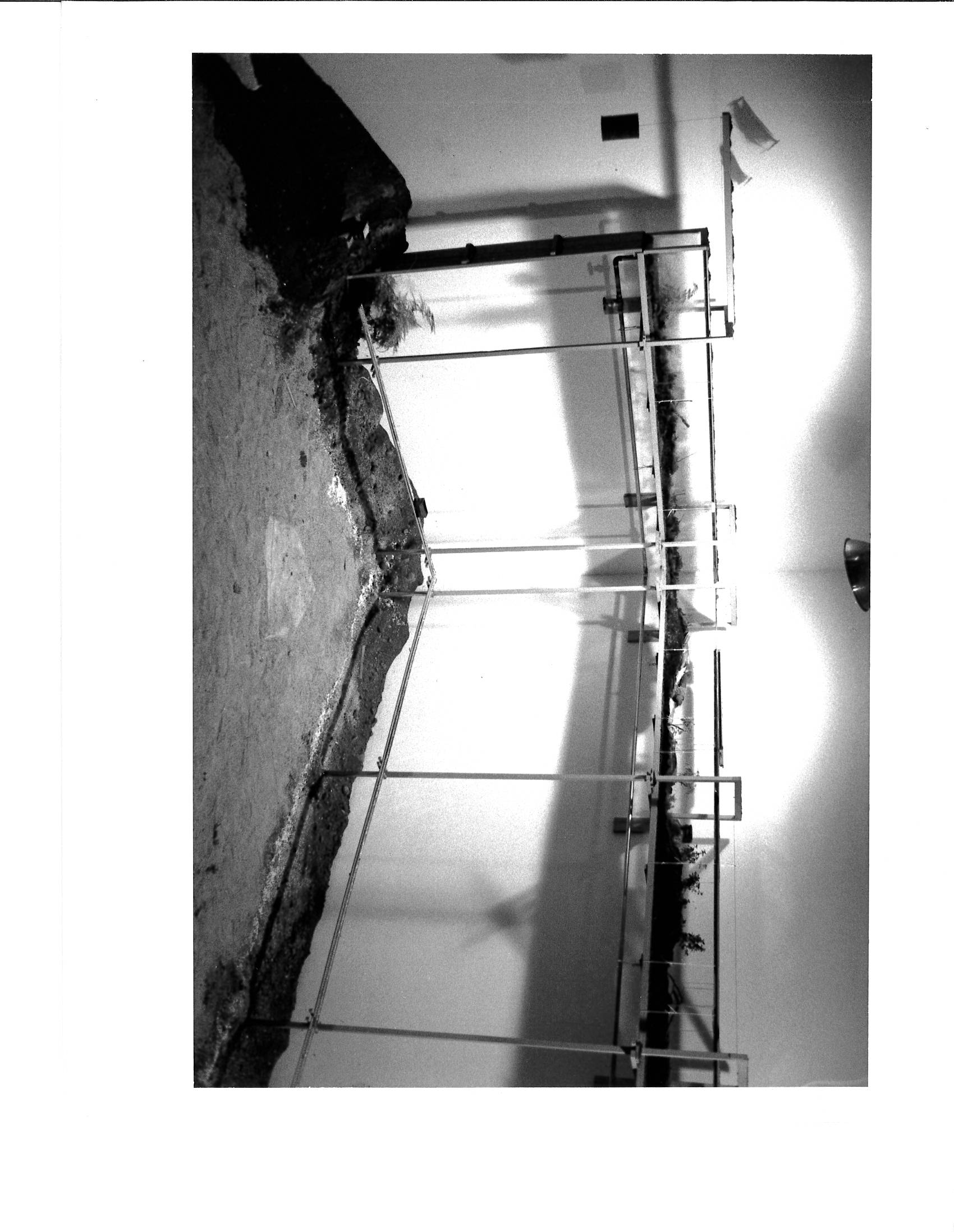 Dirt appears on the edges of the floor and in the plastic clear cases hanging above them in a gallery setting.