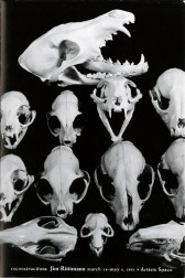 Catalogue cover design featuring a black and white photograph of a series of animal skulls arranged on a back backdrop. The skulls vary in size and shape, and many have large, fang-like teeth. Small white text running along the cover's lower edge reads, 