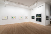 A color image of a gallery space taken from a wide angle with several framed works hanging on the wall. On the wall on the left, four drawings made on white paper are displayed in a horizontal line. On the perpendicular wall, three works made on black paper are displayed in two columns. The left column is a single work, the right column has two works. On the right wall, nine works are displayed as a grid. All drawings depict diagrammatic systems.