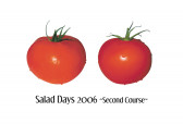 Two small tomatoes arranged side-by-side against a blank, white backdrop. Text placed directly underneath the tomatoes reads, 