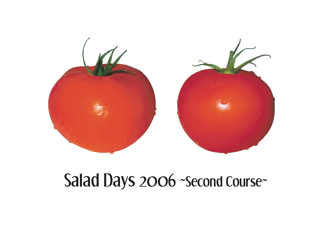 Two small tomatoes arranged side-by-side against a blank, white backdrop. Text placed directly underneath the tomatoes reads, "Salad Days 2006 ~Second Course~."