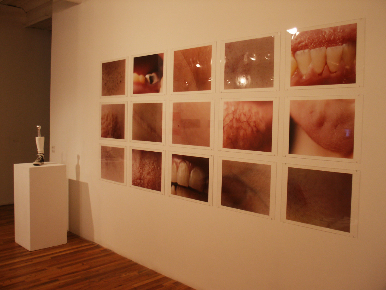 A rectangular, 3x5 grid hung on a white wall, comprised of close-up photographs of the inside of people