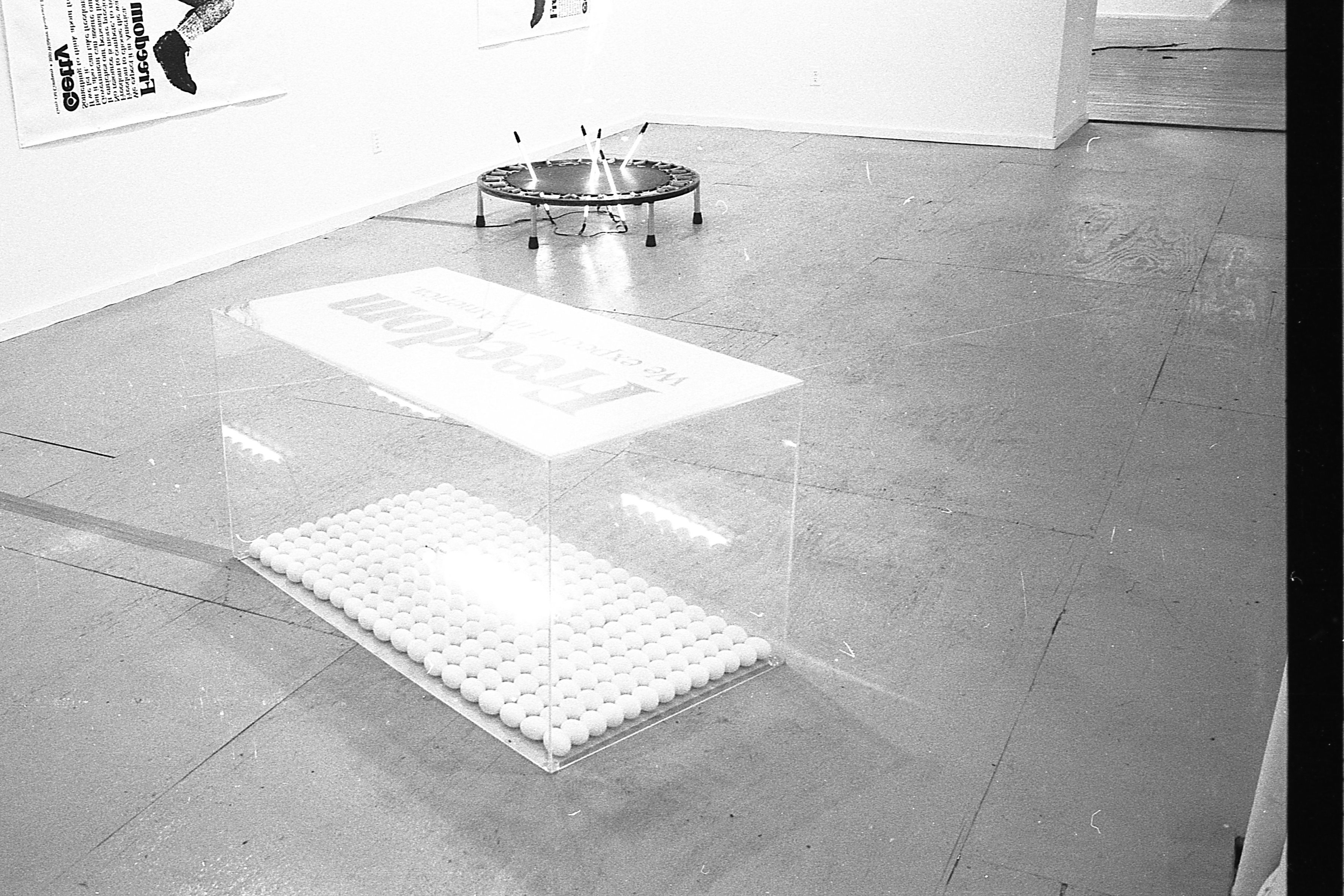 A photograph showing mostly the concrete floor of a gallery.  Sitting on the floor is a large plexiglass box, the bottom of which is lined with eggs arranged in neat rows.