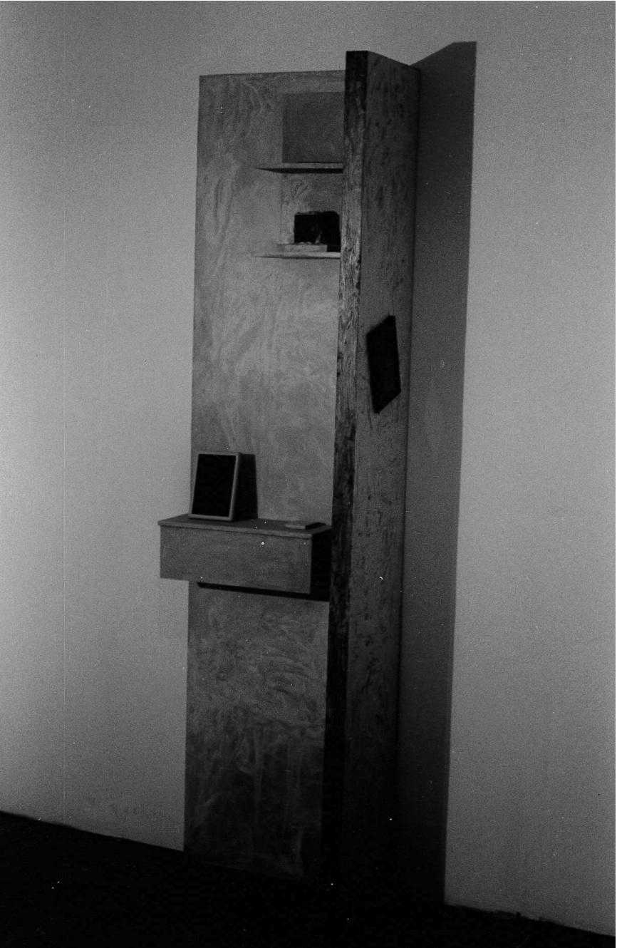 Dark photograph of a plywood sculpture with shelves in a gallery space.