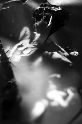 Black-and-white print featuring multiple photographs of a naked body, spotlighted against a black background and collaged together. Flashes of white light across the print obscure parts of the image, bringing the body in and out of focus.