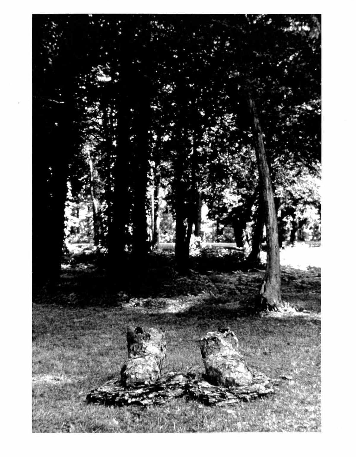 A black and white photograph of two constructed shoe-like objects on small constructed shape sitting on the grass in a foresty area.