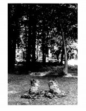 A black and white photograph of two constructed shoe-like objects on small constructed shape sitting on the grass in a foresty area.