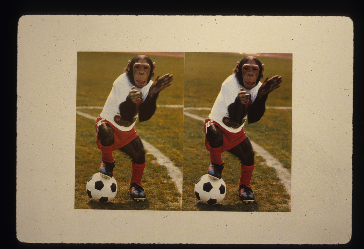 Split-screen image of a monkey dressed in sports gear with a soccer ball on a field hung on a white gallery wall. Both images in photograph appear identical.