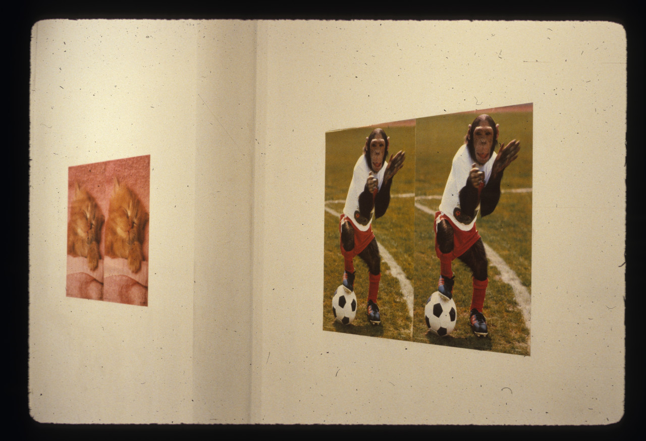 Two split screen image photographs hang on a white gallery wall, the one closer has an image of a monkey dressed in a sports suit with a soccer ball on a field. The other image in the background shows a kitten with its eyes closed under a blanket. Both images of figures appear identicial.