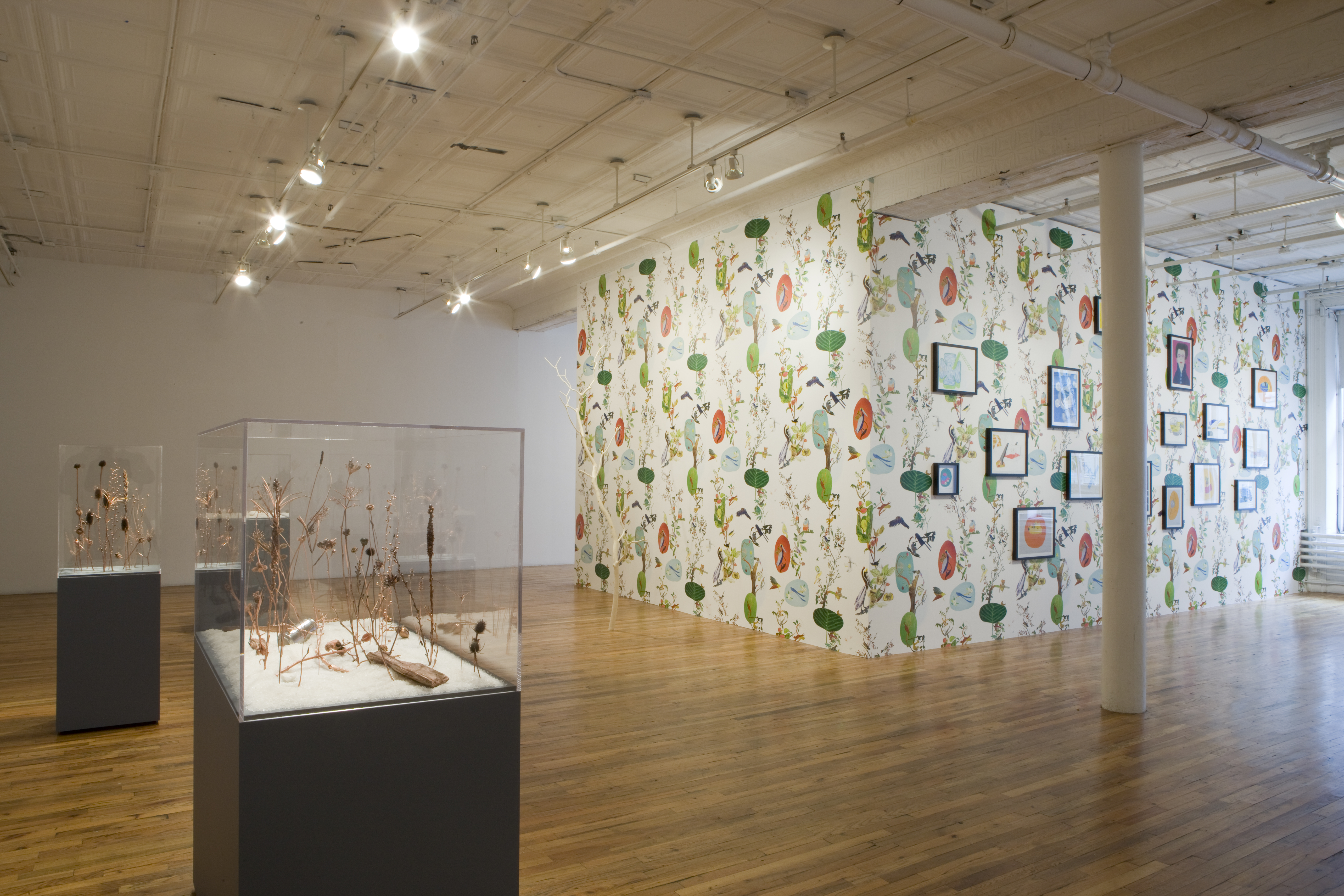 A large room with wooden floors. In the right corner, there is a wall creating a corner that is covered in colorful wallpaper with images of tropical birds on trees. Several framed pictures are displayed on one side of the wall, partially obscured by a white column. To the left, there are three standing plinths with glass tops, housing dried brown plants.