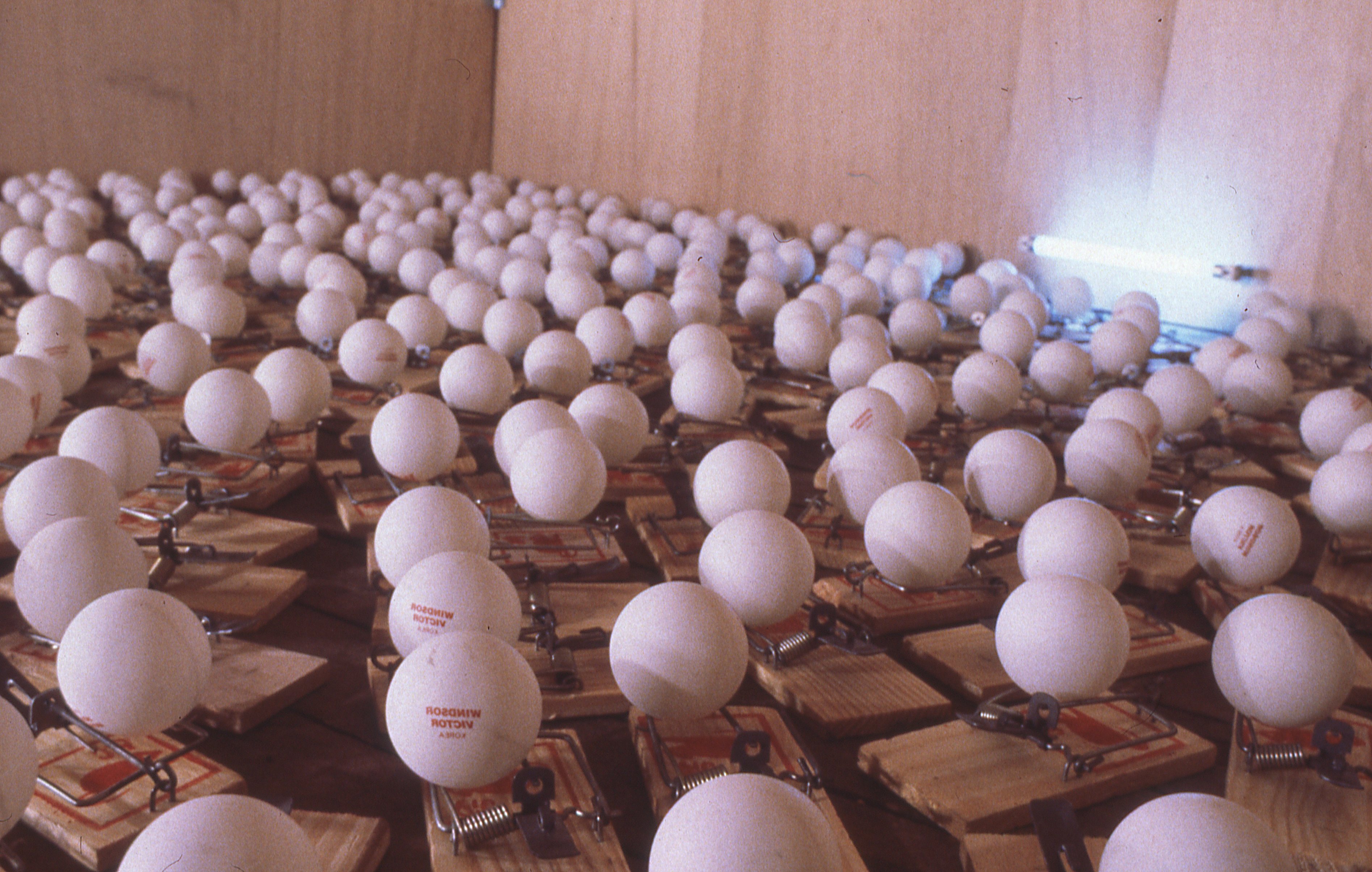 A corner of a room filled with ping pong balls set atop mousetraps. They are lit from the side by a fluorescent tube light.