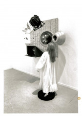 A sculpture of a woman stands on a pedestal looking into a glass window pyrimidal construction with a large bug on top and a TV monitor underneath.