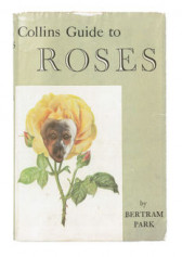 A green book cover, with it's title at the top reading, 