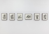 Six pornographic illustrations of men near trees are framed on a wall.