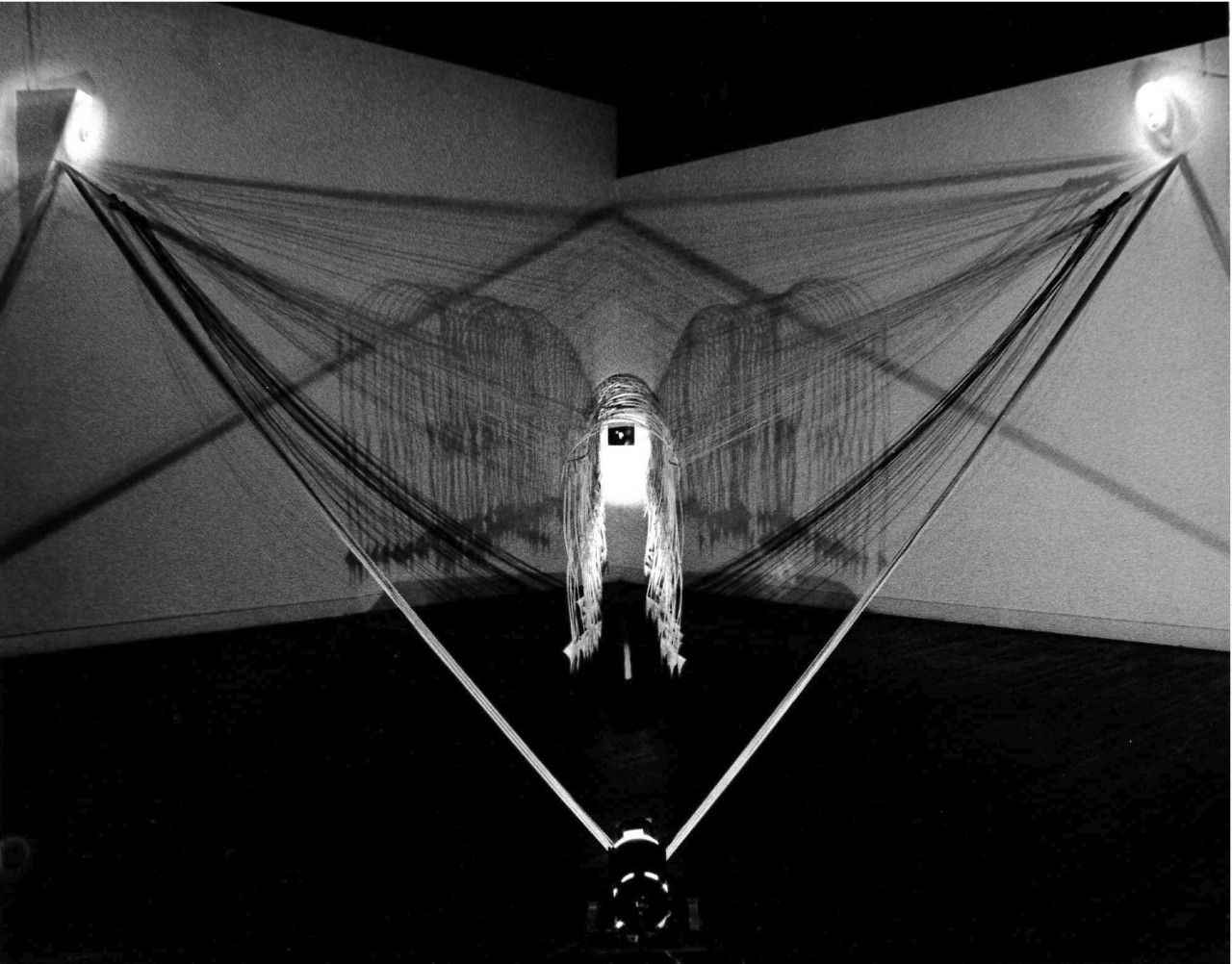 Three lights are visible in a triangle formation shining on one central photograph in the middle of the image which is framed by hanging strings and wires in a white-walled gallery space.